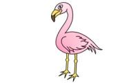Hur man ritar en flamingo