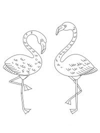 Två flamingos