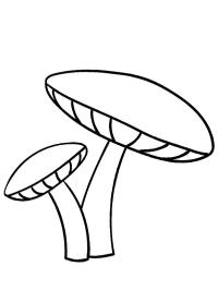 2 svampar