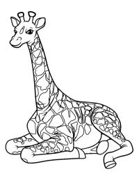 Giraff