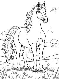 Andalusisk häst