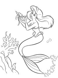 Ariel med en blomma
