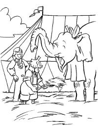 Clown och akrobat med elefant