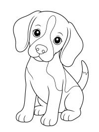 Beaglevalp