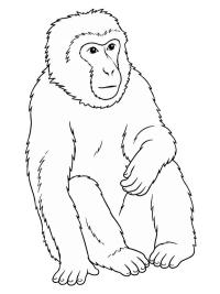 Berberapa