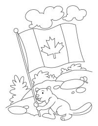 Bäver håller Kanadas flagga