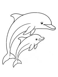 Delfin med bebis