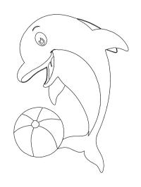 Delfin med boll