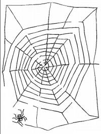 Labyrint spindelväv