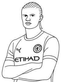 Erling Haaland