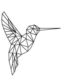 Geometrisk kolibri