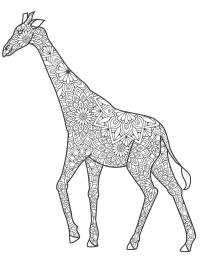 Giraff för vuxna