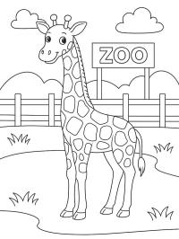 Giraff i djurparken