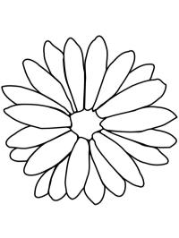 Ringblomma