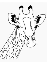 Giraffhuvud