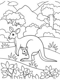 Känguru med unge