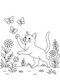 Katt som jagar fjärilar
