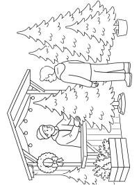 Julgransförsäljning