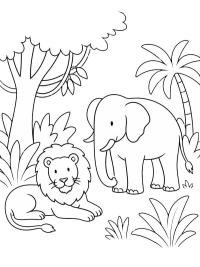 Lejon och elefant i djungeln