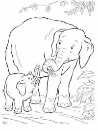 Elefant och elefantunge
