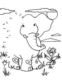 Rita en elefant