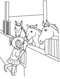 Ung flicka klappar hästar