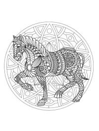 Häst Mandala