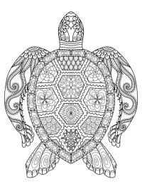 Sköldpadda mandelatatuering