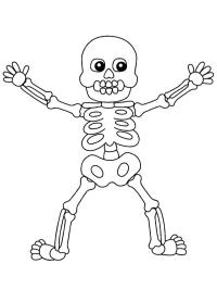 Halloween-skelett (människa)