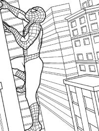Spindelmannen klättrar på byggnad