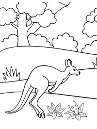 Hoppande känguru