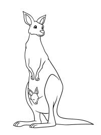 Stående känguru med bebis