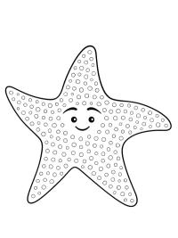 Stella (Hitta Nemo)
