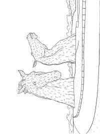 Skottska Kelpies