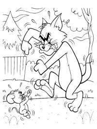 Tom och Jerry slåss