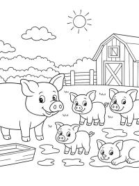 Grisfarm