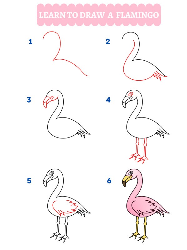 Hur man ritar en flamingo
