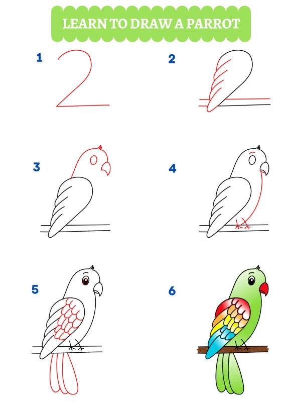 Hur man ritar en papegoja