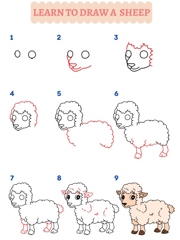 Hur man ritar ett får
