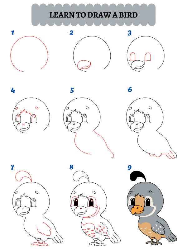 Hur ritar man en fågel?