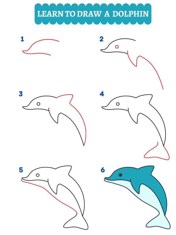 Hur man ritar en delfin