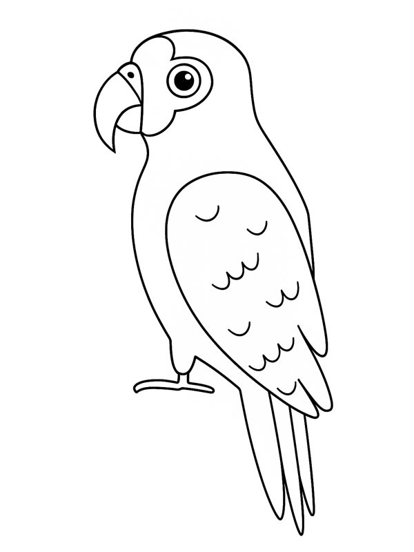 Amazonpapegoja Målarbild Amazonpapegoja Målarbild