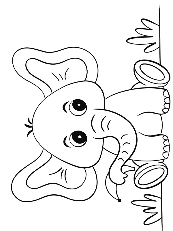 Elefantunge Målarbild Elefantunge Målarbild