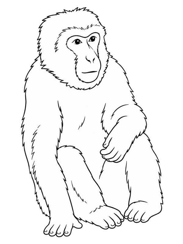 Berberapa Målarbild