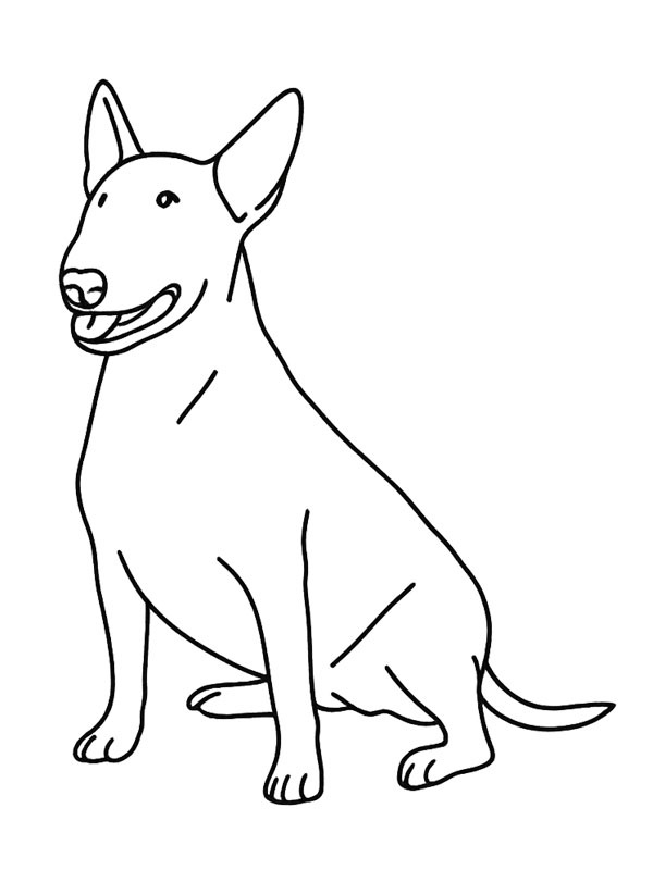 Bullterrier Målarbild Bullterrier Målarbild