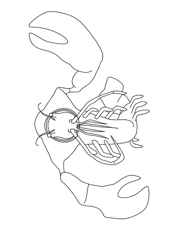 Clawrenzo (Garten of Banban) Målarbild Clawrenzo (Garten of Banban) Målarbild