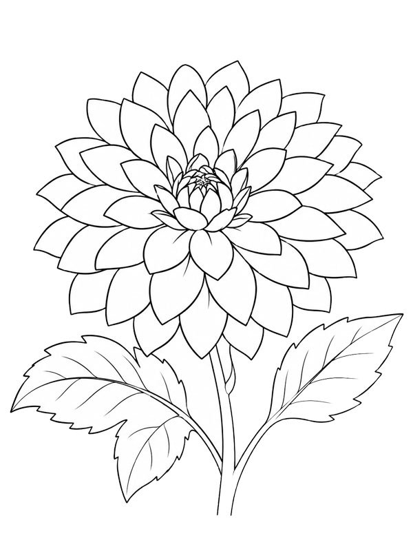 Dahlia Målarbild