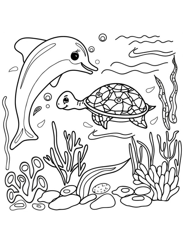 Delfin och sköldpadda Målarbild Delfin och sköldpadda Målarbild