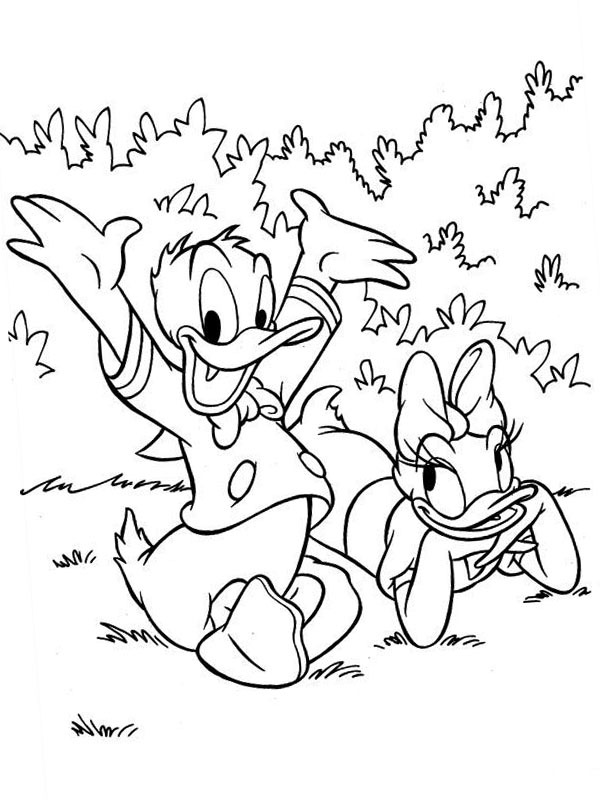 Kalle Anka och Kajsa Anka Målarbild