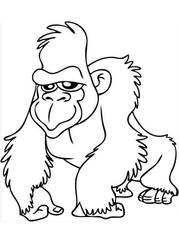 Gorilla Målarbild